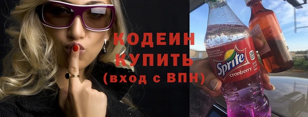 индика Новокубанск