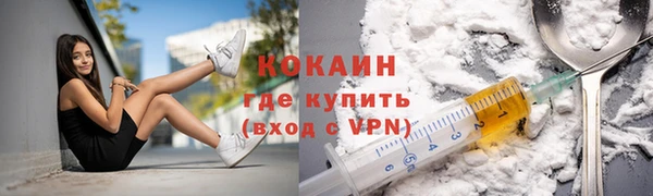 индика Новокубанск