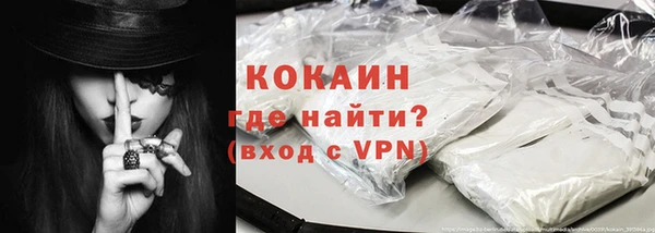 индика Новокубанск