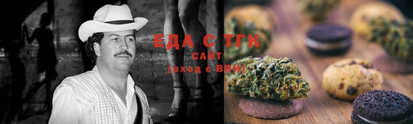 индика Новокубанск