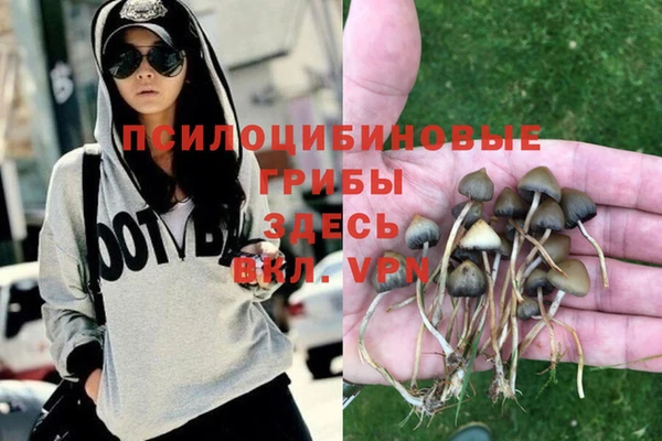круглые Новодвинск