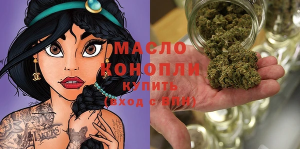 индика Новокубанск