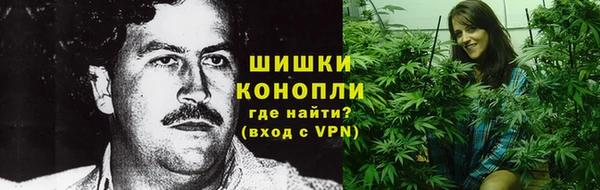 индика Новокубанск