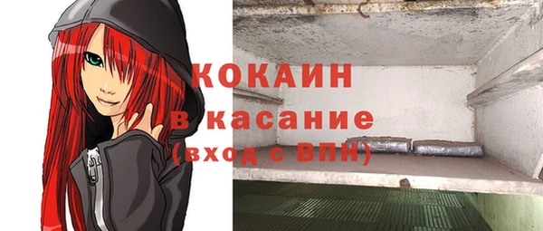 индика Новокубанск